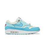 Nike Air Max 1 Puerto Rico Blue