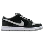 SB Dunk Low Pack Shadow
