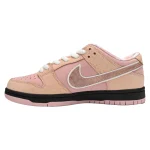SB Dunk Low Pink Lobster - Afbeelding 2